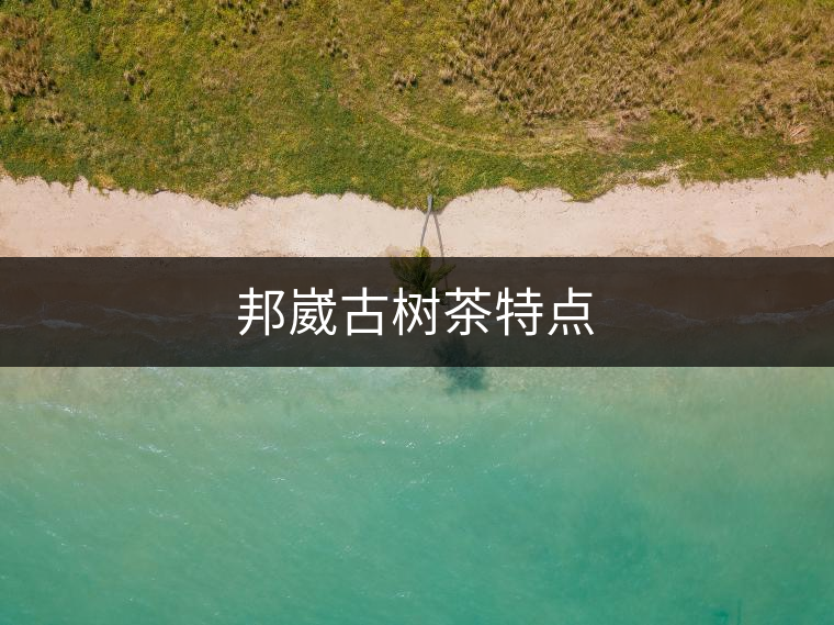 邦崴古樹茶特點(diǎn) 邦崴古樹茶特點(diǎn)