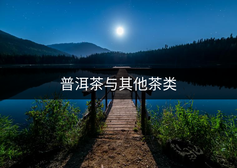 普洱茶與其他茶類(lèi)