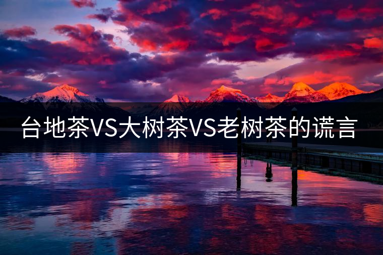 臺地茶VS大樹茶VS老樹茶的謊言你信幾個？