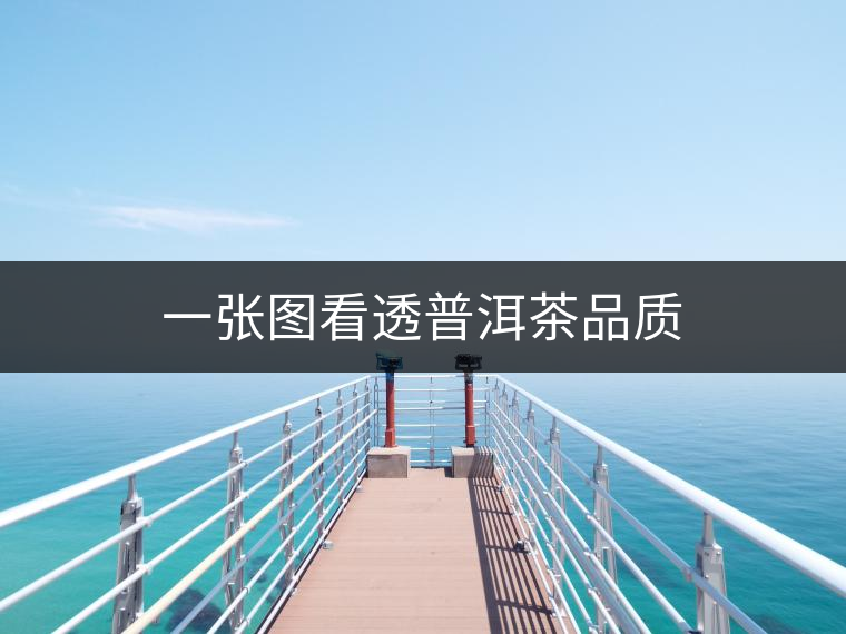 一張圖看透普洱茶品質 一張圖看透普洱茶品質