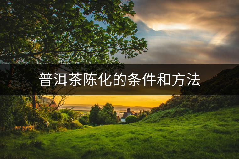 普洱茶陳化的條件和方法 普洱茶陳化的條件和方法