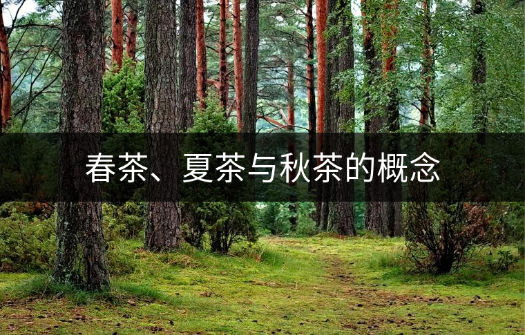 春茶、夏茶與秋茶的概念