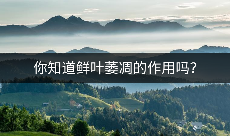 你知道鮮葉萎凋的作用嗎？