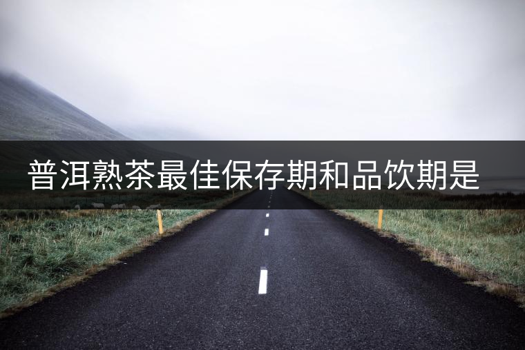 普洱熟茶最佳保存期和品飲期是多長？