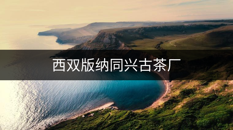 西雙版納同興古茶廠 西雙版納同興古茶廠