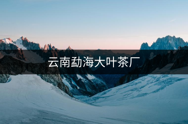 云南勐海大葉茶廠
