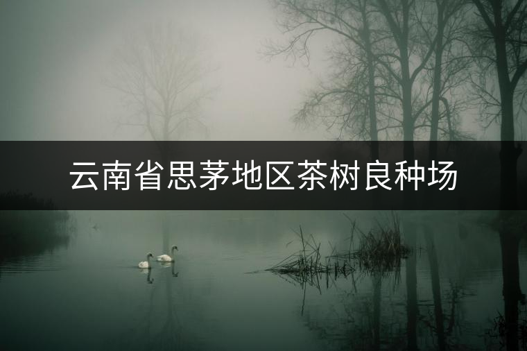 云南省思茅地區(qū)茶樹良種場 云南省思茅地區(qū)茶樹良種場