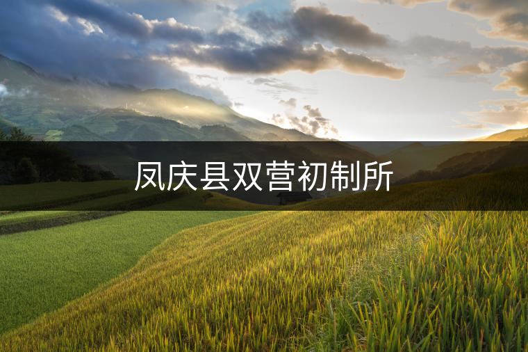 鳳慶縣雙營初制所 鳳慶縣雙營初制所