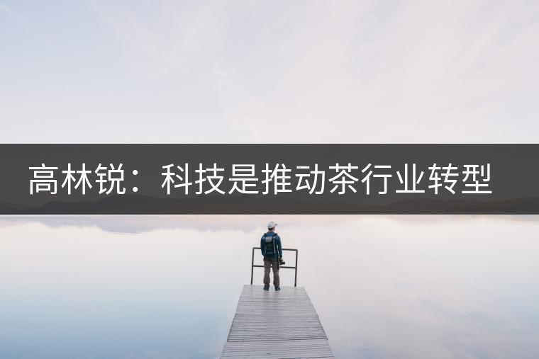 高林銳:科技是推動茶行業(yè)轉(zhuǎn)型的最大動力 高林銳:科技是推動茶行業(yè)轉(zhuǎn)型的最大動力