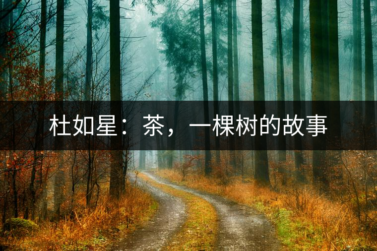 杜如星：茶，一棵樹的故事