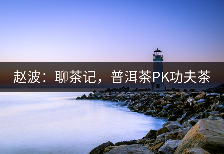 趙波：聊茶記，普洱茶PK功夫茶