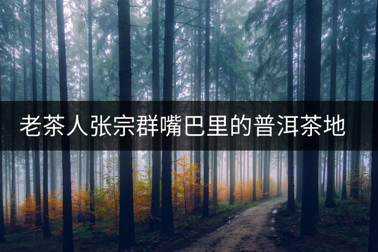 老茶人張宗群嘴巴里的普洱茶地理