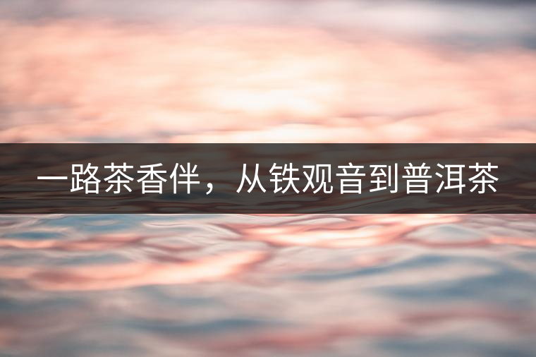 一路茶香伴，從鐵觀音到普洱茶