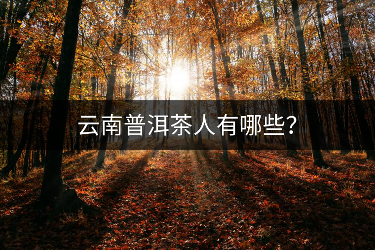 云南普洱茶人有哪些？