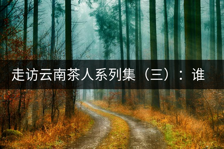 走訪云南茶人系列集（三）：誰說普洱不產(chǎn)茶？——張順高