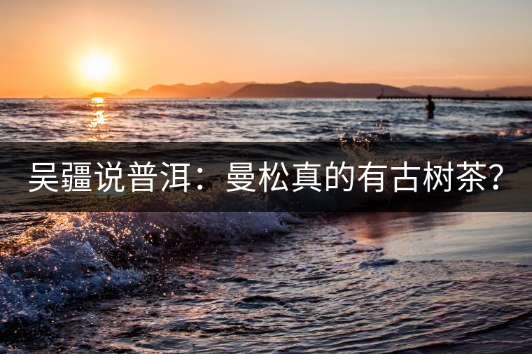 吳疆說普洱：曼松真的有古樹茶？