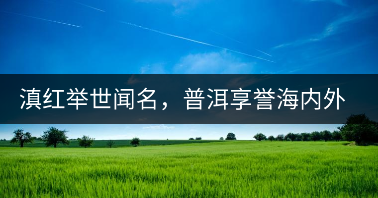 滇紅舉世聞名，普洱享譽海內外丨專家座談——虞富蓮