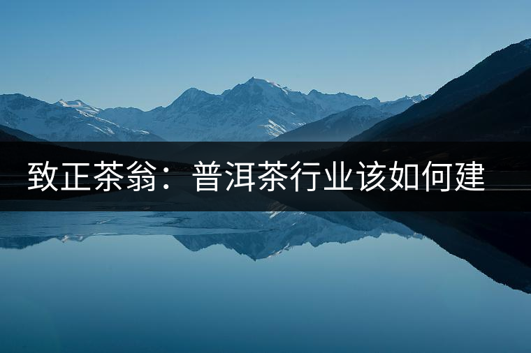 致正茶翁：普洱茶行業(yè)該如何建立正確的口感體系？