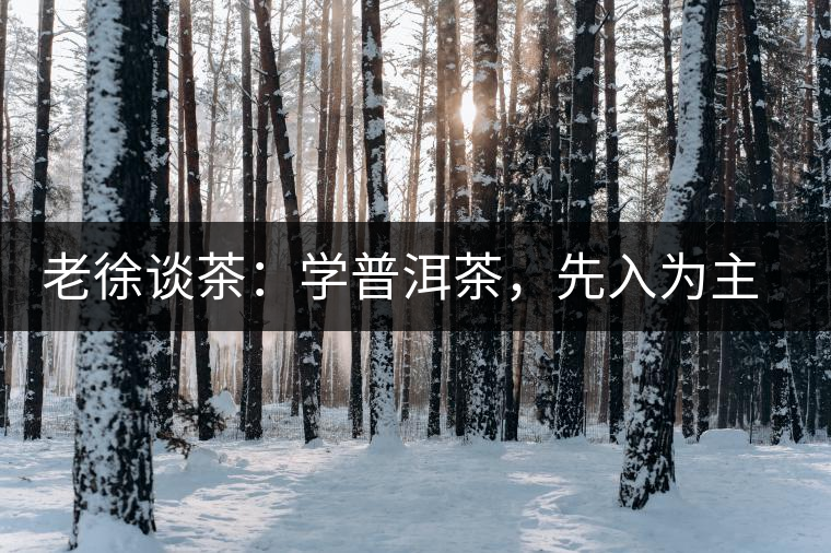 老徐談茶：學(xué)普洱茶，先入為主易被打臉，還得實(shí)踐出真知！