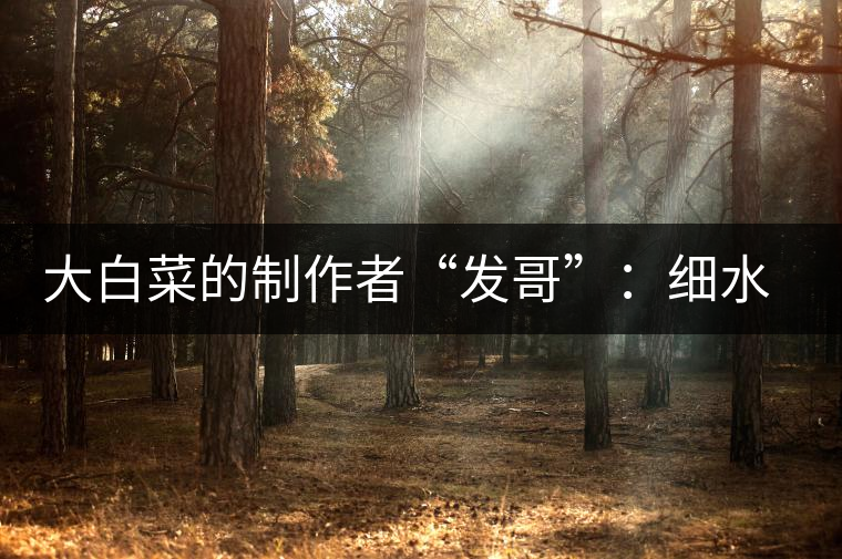 大白菜的制作者“發(fā)哥”：細(xì)水長(zhǎng)流，做茶“急不得”
