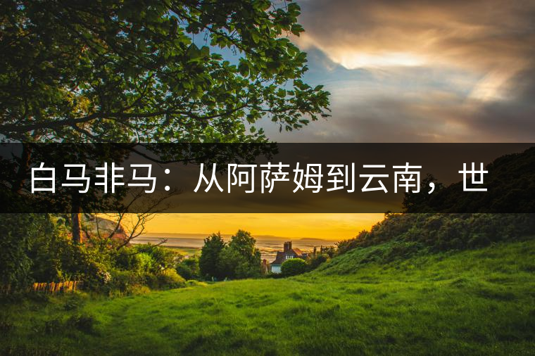 白馬非馬：從阿薩姆到云南，世界茶樹起源爭論的誤區(qū)