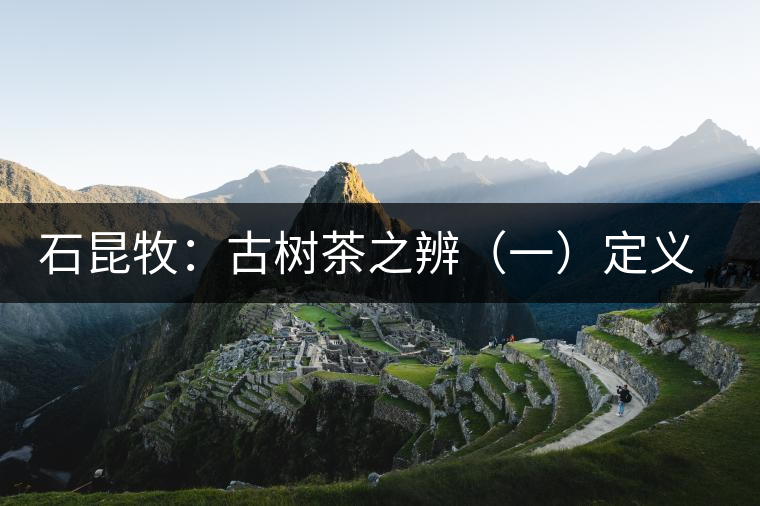 石昆牧:古樹茶之辨(一)定義厘清 石昆牧:古樹茶之辨(一)定義厘清