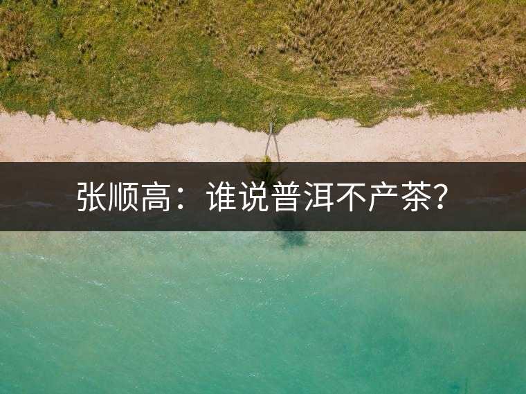 張順高：誰說普洱不產(chǎn)茶？