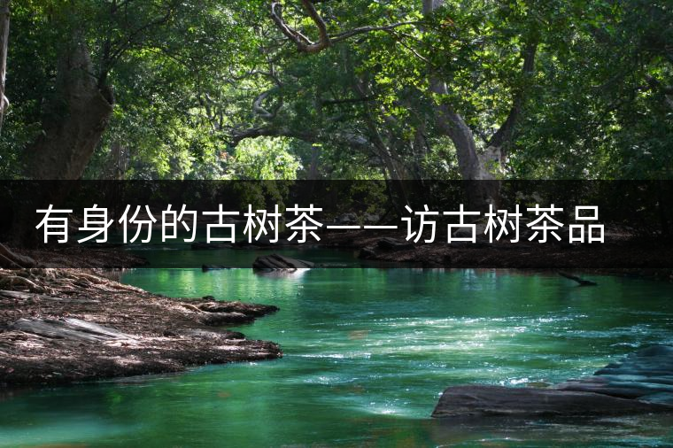 有身份的古樹茶——訪古樹茶品茶人中山市茂名商會創(chuàng)會會長崔大洪 有身份的古樹茶——訪古樹茶品茶人中山市茂名商會創(chuàng)會會長崔大洪