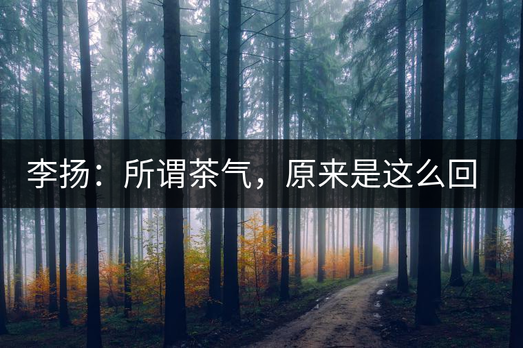 李揚(yáng)：所謂茶氣，原來(lái)是這么回事