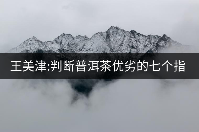 王美津:判斷普洱茶優(yōu)劣的七個(gè)指標(biāo)之“質(zhì)” 王美津:判斷普洱茶優(yōu)劣的七個(gè)指標(biāo)之“質(zhì)”