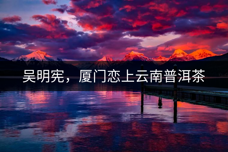 吳明憲，廈門戀上云南普洱茶