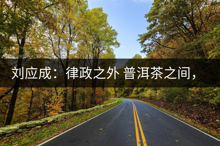 劉應(yīng)成：律政之外 普洱茶之間，在峨毛茶上的三個(gè)首創(chuàng)