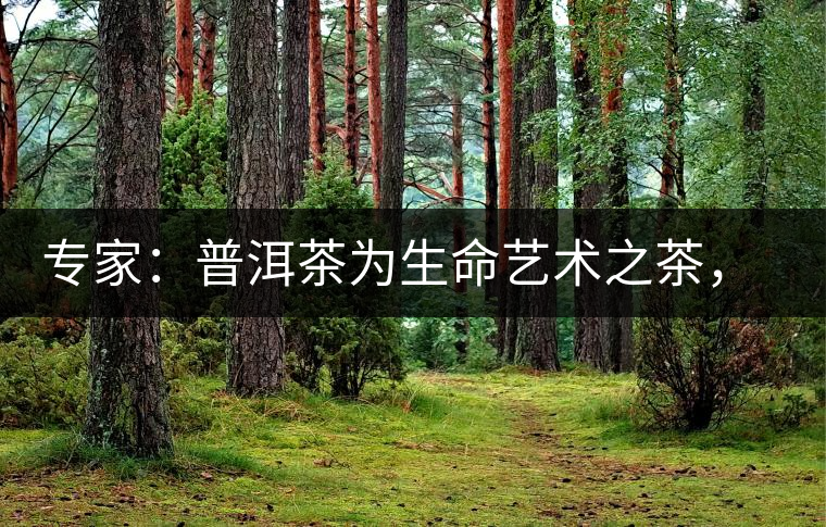 專(zhuān)家：普洱茶為生命藝術(shù)之茶，現(xiàn)低價(jià)時(shí)期可投資收茶