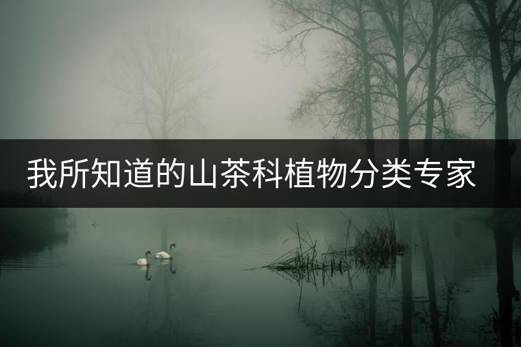 我所知道的山茶科植物分類專家：張宏達(dá)先生