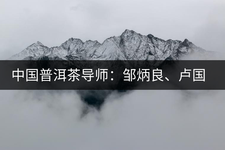中國普洱茶導(dǎo)師：鄒炳良、盧國齡