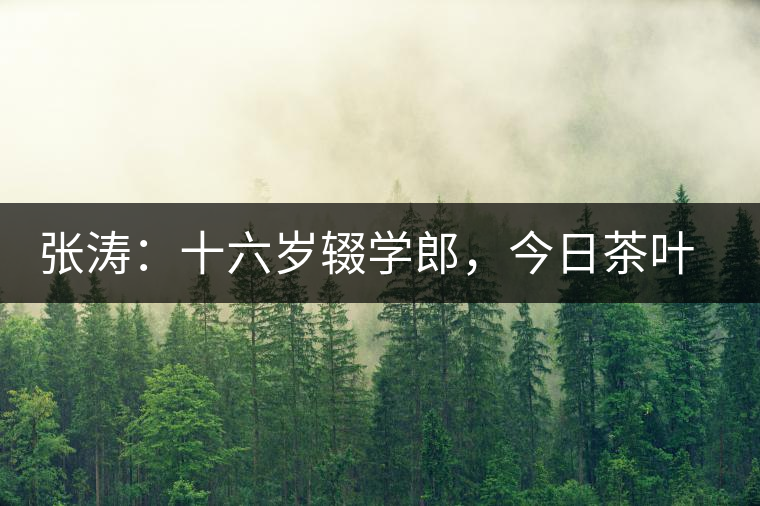 張濤：十六歲輟學(xué)郎，今日茶葉中堅