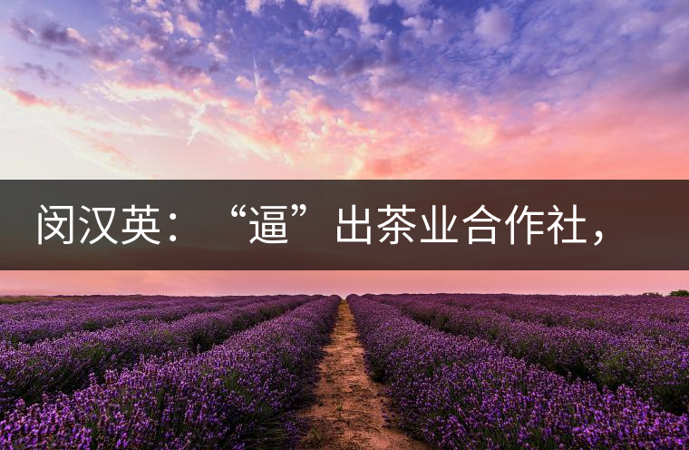 閔漢英：“逼”出茶業(yè)合作社，帶領(lǐng)村民走上致富路