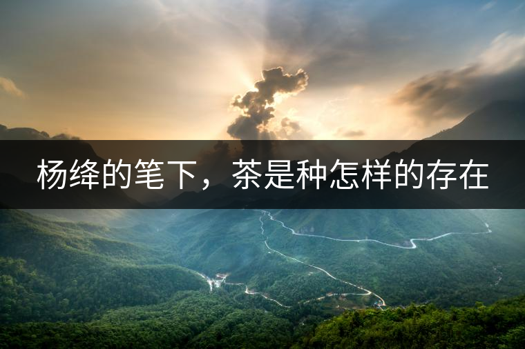 楊絳的筆下，茶是種怎樣的存在