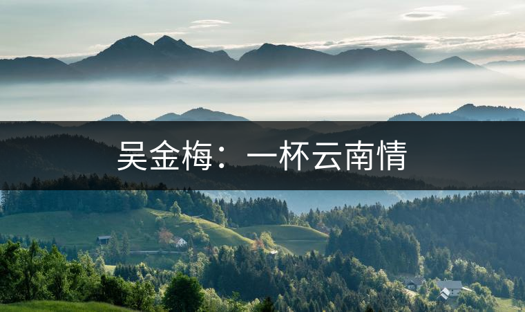 吳金梅：一杯云南情