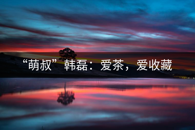 “萌叔”韓磊：愛茶，愛收藏