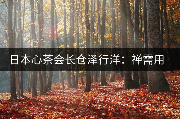 日本心茶會長倉澤行洋：禪需用茶去“抵達(dá)”