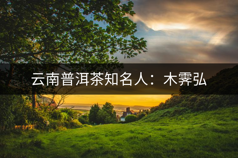 云南普洱茶知名人:木霽弘 云南普洱茶知名人:木霽弘