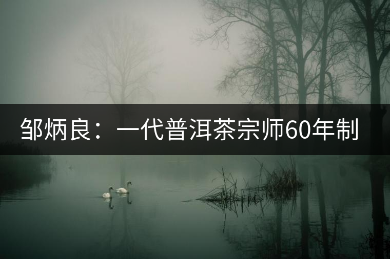 鄒炳良：一代普洱茶宗師60年制茶的傳奇故事