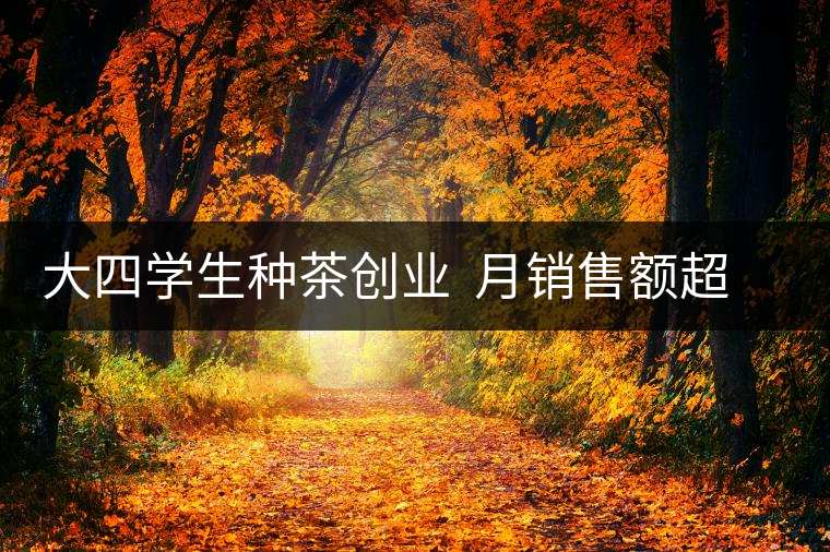 大四學(xué)生種茶創(chuàng)業(yè)  月銷售額超五十萬(wàn)