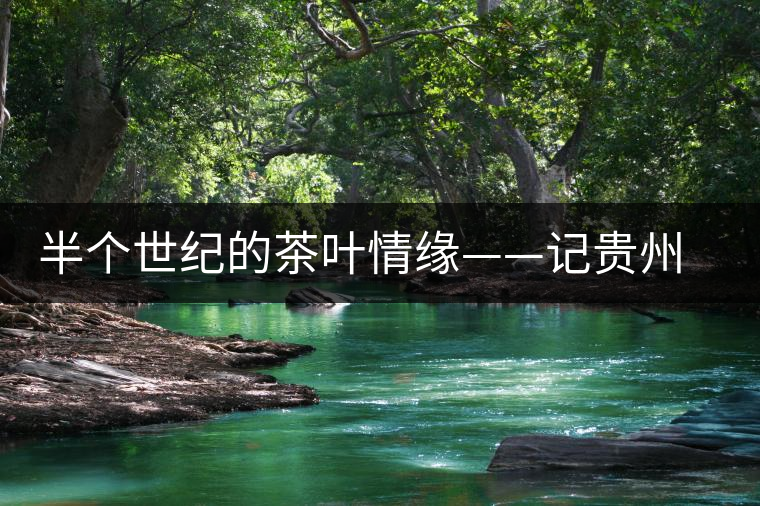 半個世紀的茶葉情緣——記貴州茶葉終身成就獎獲得者汪桓武