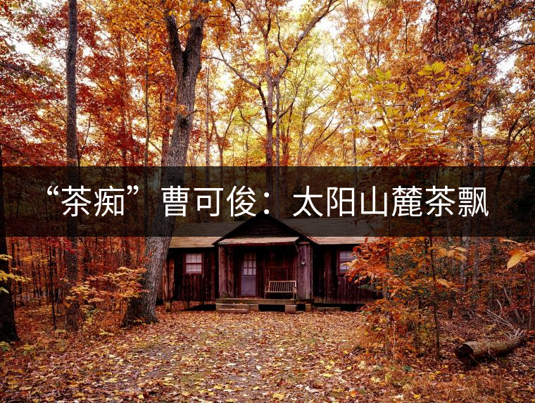 “茶癡”曹可?。禾柹铰床栾h香，清明時節(jié)采茶忙