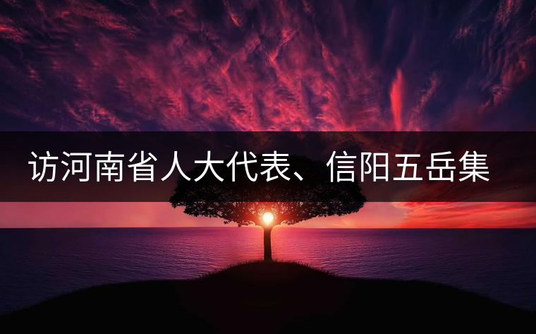 訪河南省人大代表、信陽五岳集團(tuán)董事長(zhǎng)胡鎮(zhèn)——茶鄉(xiāng)亦飄茶油香