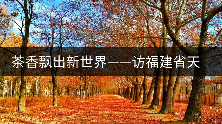 茶香飄出新世界——訪福建省天榮茶業(yè)有限公司董事長(zhǎng)沈丞榮 茶香飄出新世界——訪福建省天榮茶業(yè)有限公司董事長(zhǎng)沈丞榮