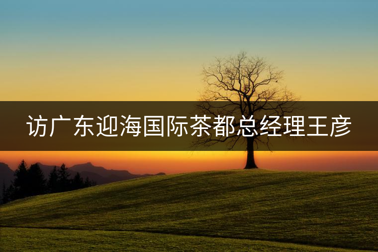訪廣東迎海國際茶都總經(jīng)理王彥 訪廣東迎海國際茶都總經(jīng)理王彥