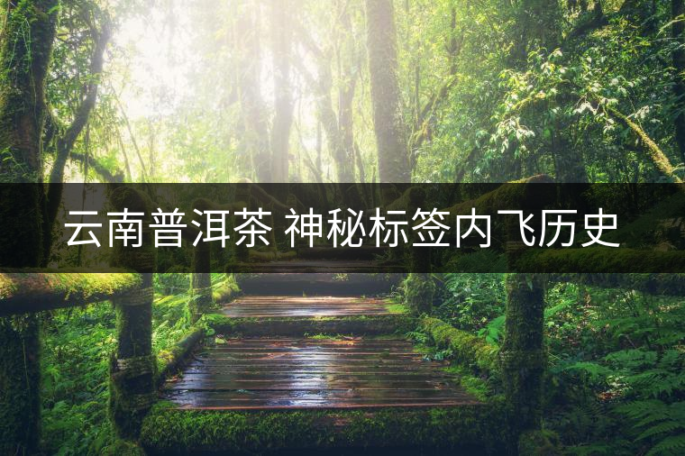 云南普洱茶 神秘標簽內(nèi)飛歷史 云南普洱茶 神秘標簽內(nèi)飛歷史